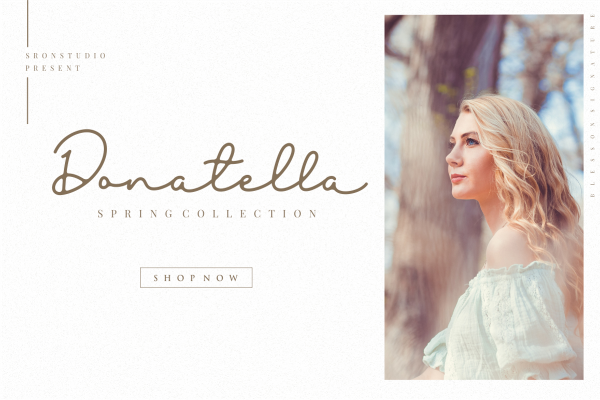 Blesson Signature Font preview 4