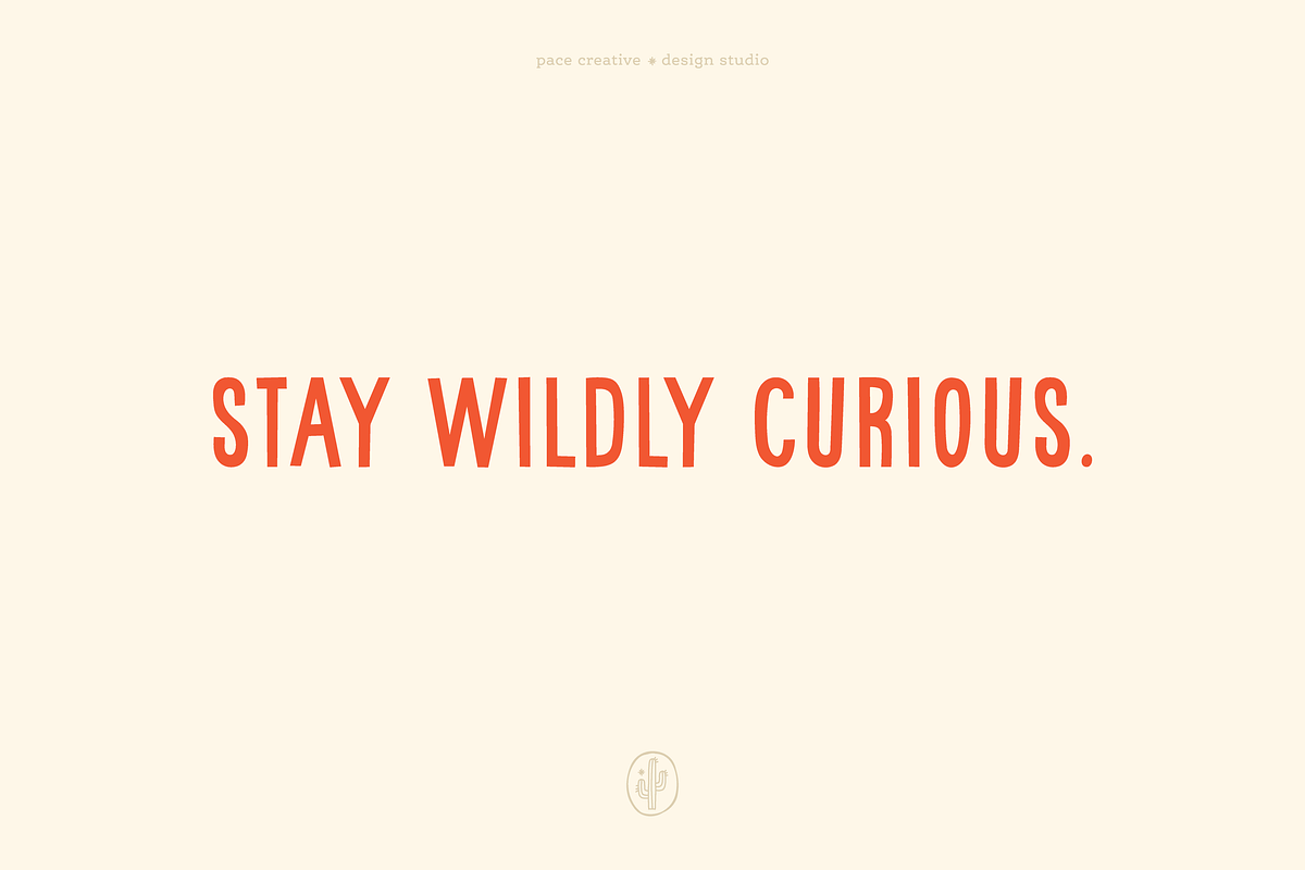 Curious P: A Hand-Drawn Font, a Handwritten Font by Pace Creative Design (Photo 5 of 12)