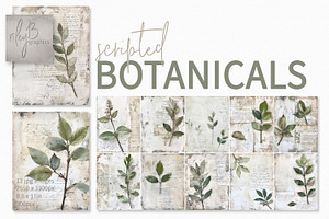 Scripted Botanical Collage Paintings