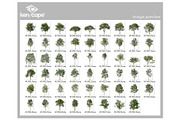 53 Trees PNG Photo Overlays, a Nature Photo by KenScape (Thumbnail 3 of 3)