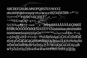 Rega Pira - Elegant Serif Family, a Serif Font by Differentialtype (Thumbnail 12 of 12)