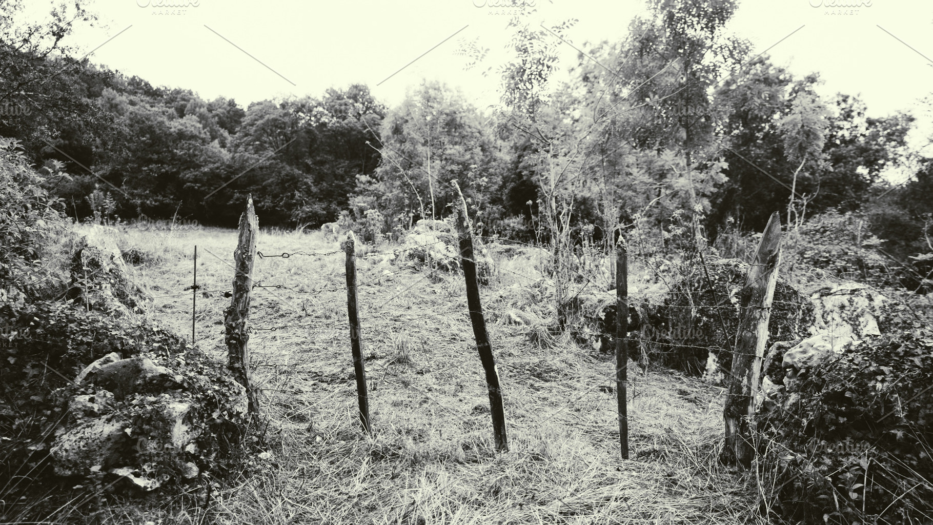 Rustic fence in black and white, a Nature Photo by SkyNext