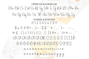 Whiskey | Script Font, a Handwritten Font by Scratchones (Thumbnail 7 of 9)