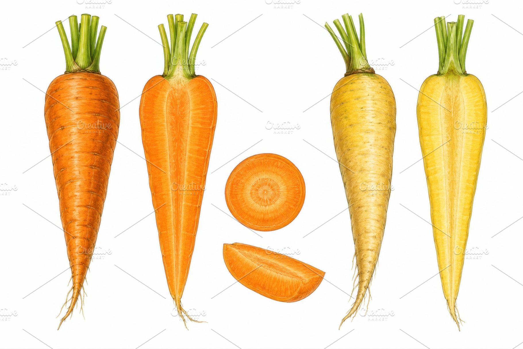 Colorful shaped carrots, a Photo by Beautiful things