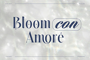 Quante – Artistic Display Serif, a Serif Font by BrandSemut (Thumbnail 4 of 10)