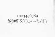 Faraz Modern Serif Typeface, a Serif Font by Creativetacos (Thumbnail 3 of 7)