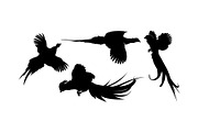 Pheasant Silhouette Set, a Branding & Logo Template by Atlantis X Nurman Arbai (Thumbnail 1 of 2)