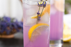 Homemade Lavender Lemonade, a Food & Drink Photo by Apolonia