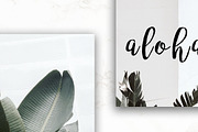 8 Pack Instagram Social Palm Layouts, a Templates & Theme by Aloha Philly (Thumbnail 7 of 7)
