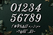 Bravitura Script - Rustic Elegance, a Script Font by HypeWorksCo (Thumbnail 15 of 15)