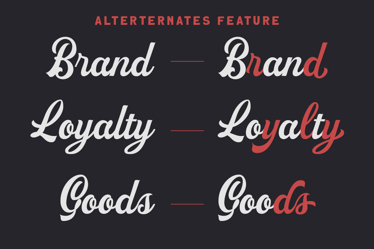 Revictus Script, a Script Font by Letterhend Studio (Photo 5 of 9)