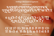 Goldage - Elegant Typeface, a Serif Font by RagamKata (Thumbnail 14 of 16)