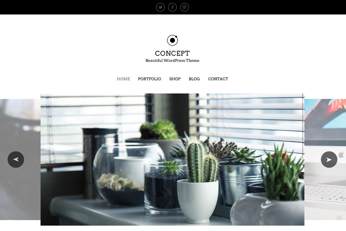 Concept - eCommerce Portfolio WP, a WordPress Template by Viva Themes