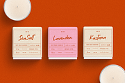 Natureal Script - Elegant Font, a Script Font by Invasi Studio (Thumbnail 5 of 10)