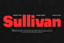 Sullivan | 91 Style Font