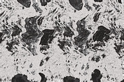 Twisted by Nature Vol 1, a Texture Graphic by Jennifer Lauren Creative (Thumbnail 14 of 19)