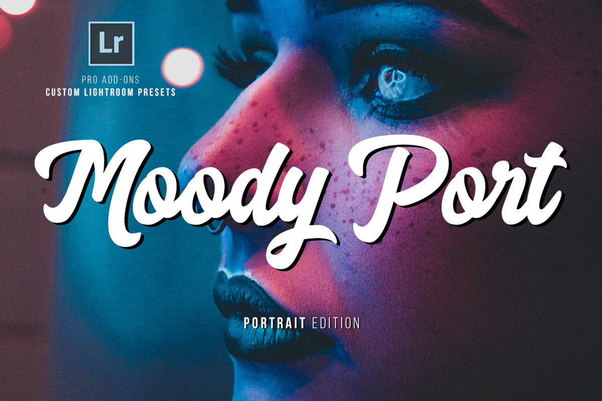 Portrait Lightroom Presets, an Action Add-On by Lavinsky Art Store (Photo 1 of 12)