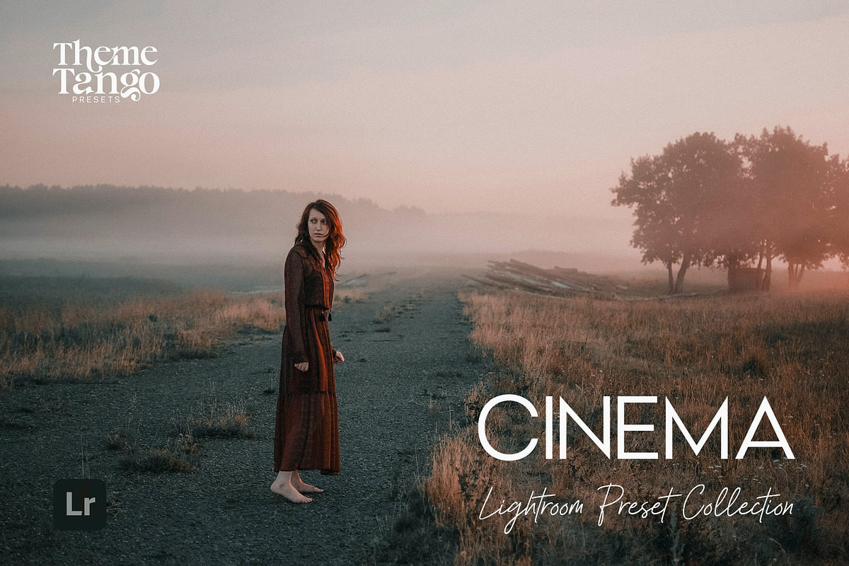 9 Cinematic Lightroom Presets, a Preset Add-On by ThemeTango (Photo 10 of 10)
