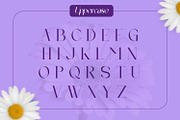Eclime, a Serif Font by Rishsketch (Thumbnail 7 of 12)