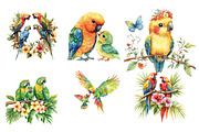 Watercolor Tropical Parrot Family, an Illustration by CreationArt (Thumbnail 2 of 5)