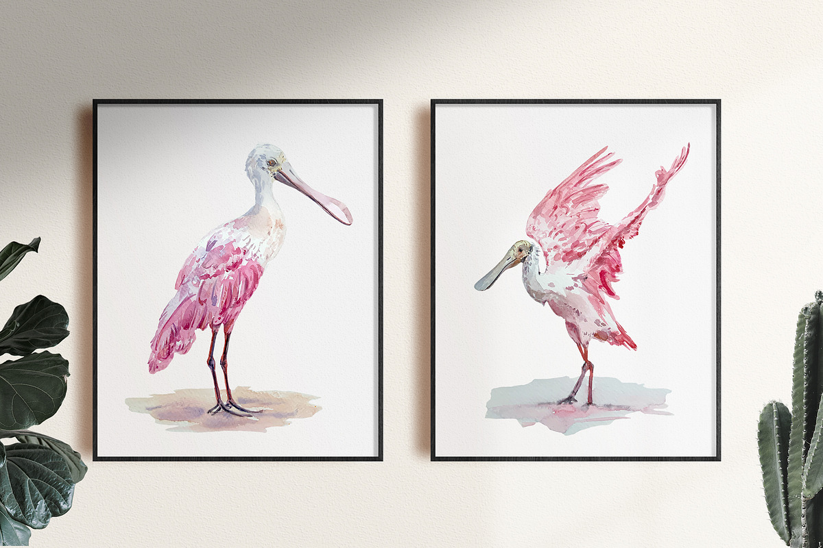 Roseate Spoonbill - Watercolor Print, an Illustration by Tati Bordiu (Photo 1 of 4)