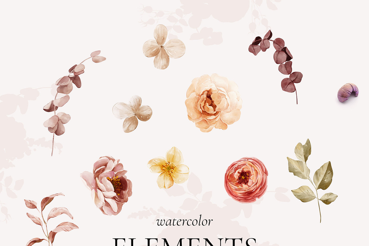 AUTUMN GARDEN watercolor flowers, a Seasonal Illustration by Yuliia Lashevska (Photo 13 of 14)