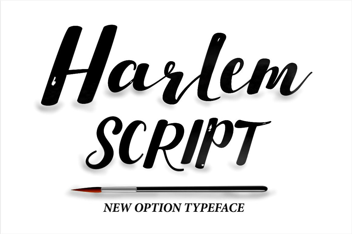 Calligrapher's  Font Bundle (98%Off), a Script Font by Genesis Lab (Photo 34 of 44)