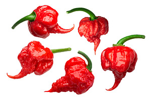 Carolina Reaper