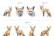 Fox Illustration Clipart, Arctic Fox, an Animal Illustration by BrushstrokeArtGB (Thumbnail 3 of 9)