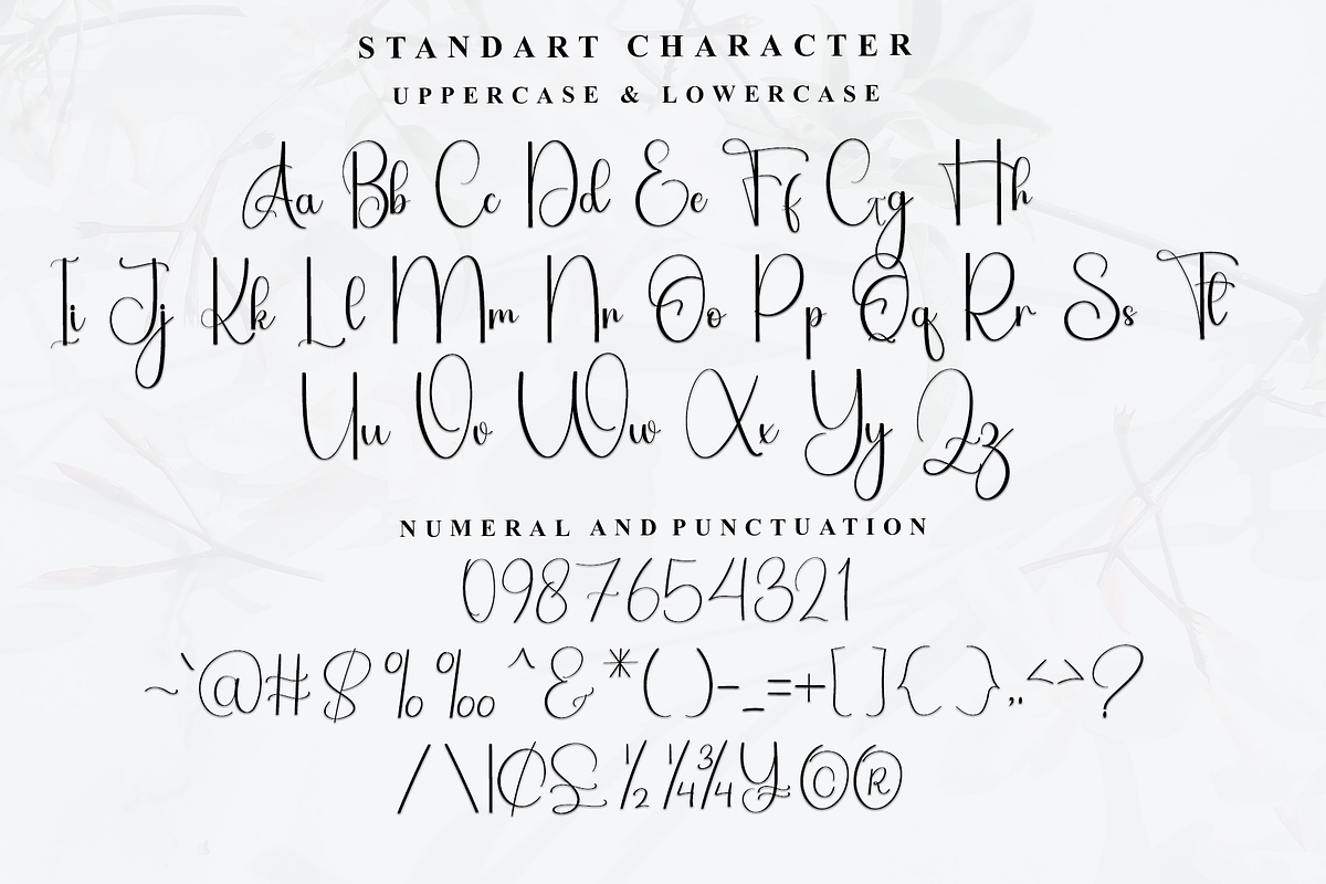 This Signature, a Handwritten Font by FreshTypeINK (Photo 2 of 7)