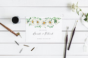 Watercolor Daisies, an Object Illustration by Olga Koelsch (Thumbnail 8 of 12)