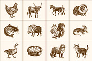 Vintage Farm Animals Illustration, an Animal Illustration by Prosymbols (Thumbnail 6 of 8)