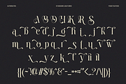 Sefina Brandish - Beauty Luxury Font, a Serif Font by Font Liner (Thumbnail 10 of 10)