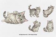 15 Bundle Watercolor Grey Cats Pet, an Animal Illustration by Morspective (Thumbnail 7 of 15)