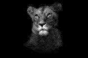 Line Art Lion Logo, a Branding & Logo Template by Designs Basket (Thumbnail 1 of 5)