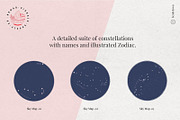 Vintage Bundle - 6600+ Illustrations, an Animal Illustration by Nomad Visuals (Thumbnail 42 of 45)