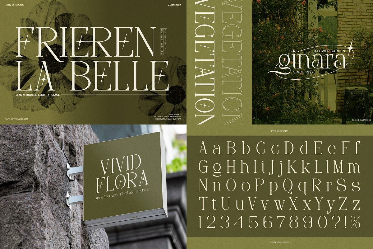 90% OFF! Modern Serif Font Bundle, a Serif Font by Denustudios (Photo 11 of 16)