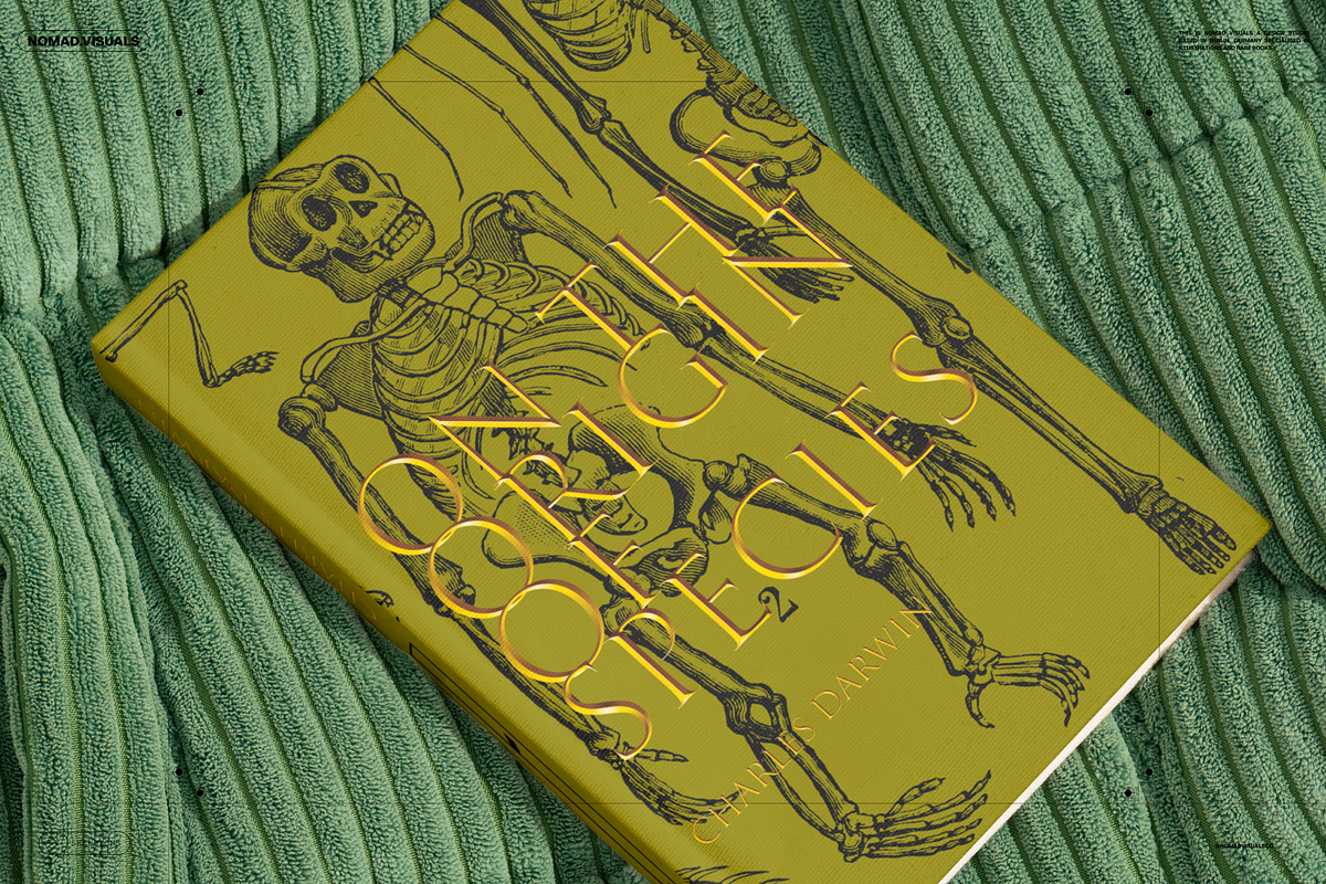 Skeletons & Bones, an Animal Illustration by Nomad Visuals (Photo 4 of 15)