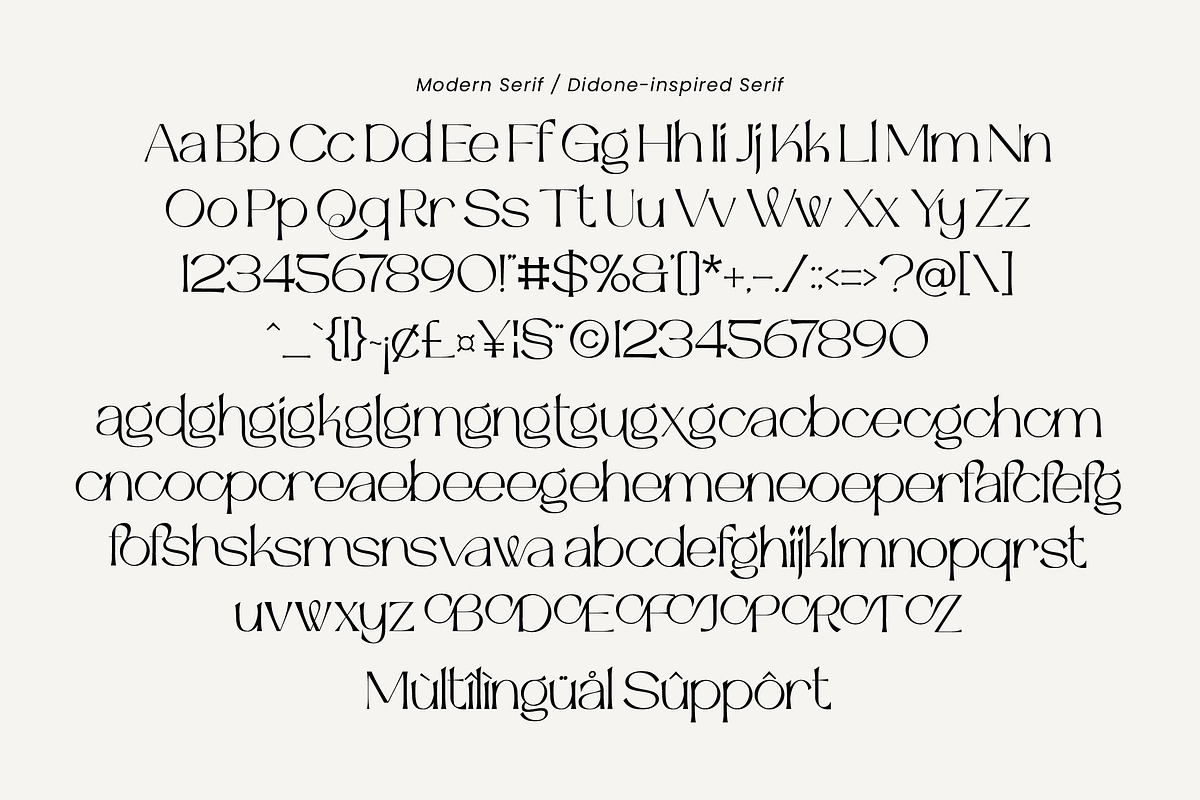 Chateau Luxury Modern Serif Font, a Serif Font by operatype.co (Photo 8 of 8)