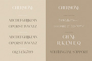 CHERMONI, a Serif Font by ToniStudio (Thumbnail 8 of 8)