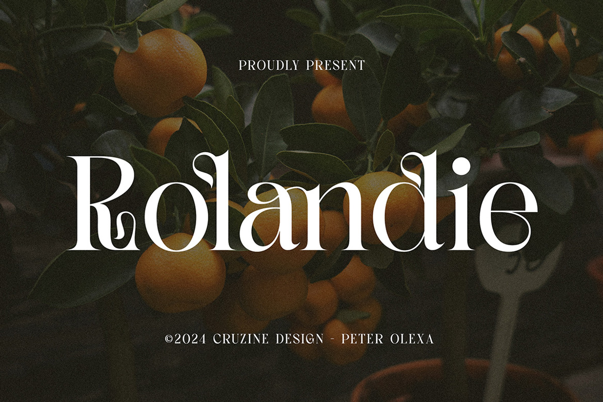 Rolandie Romantic Serif, a Serif Font by Cruzine (Photo 1 of 8)