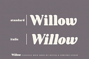 Willow. Typeface Bold Serif, a Serif Font by Kleffont Studio (Thumbnail 5 of 10)