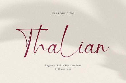 Thalian – Elegant Stylish Signature