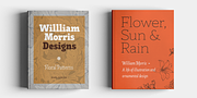 Rogliano Pro, a Slab Serif Font by Untype (Thumbnail 6 of 26)