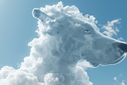 90 Clouds animals against a blue sky, an Animal Illustration by Handmadefont (Thumbnail 56 of 64)