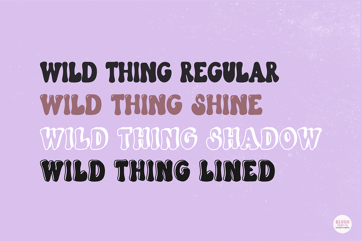 WILD THING Retro Font Family, a Font by Blush Font Co. (Photo 4 of 8)
