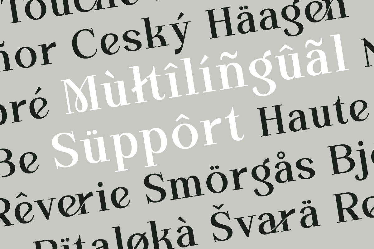 Overse - Modern Serif Typeface, a Serif Font by Font Liner (Photo 12 of 12)
