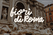 Midnight Chianti - Handwritten Font, a Script Font by SilverStag Type Foundry (Thumbnail 15 of 23)