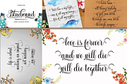 THE COLLECTION BUNDLE, a Script Font by danti (Thumbnail 13 of 31)