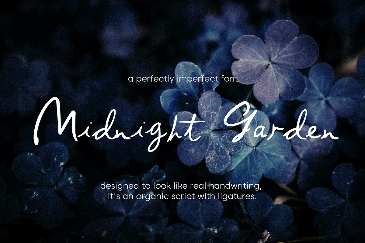 Midnight Garden Handwritten Font, a Font by mpllano14 (Photo 7 of 7)